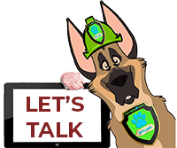 Email Us For Amazing Plans